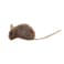 Refillable Catnip (Mouse) with 3 catnip teabags in ziplock bag