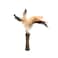 Catnip Johnny Sticks with Natural Feather