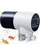 Gluckluz Automatic Fish Feeder Electric Auto Food Dispenser Moisture-Proof with 360&deg;Rotatable Base &amp; Timer for Aquarium Small Fish Turtle Tank Vacation Holidays