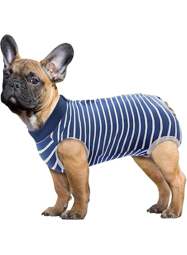 Dog Recovery Suit, Dog Onesie for Surgery Recovery, Dog Surgery Recovery Suit for Small Medium Dogs, E-Collar Alternative After Surgery Wear Anti Licking Abdominal Wounds Pet Surgery Recovery Suit, S
