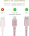 Native Union Belt Cable XL - 10Ft Ultra-Strong Reinforced Durable USB-C To Lightning [MFI Certified] Charging Cable With Leather Strap Compatible With iPhone/iPad (Rose)