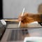 Adonit Stylus White Series, Magnetic Attachment &amp; Charge, Tilt Sensitivity, Palm Rejection, Long Battery Life, Lighweight And Easy To Use, Made For iPads With Wireless Magnetic Charging, White