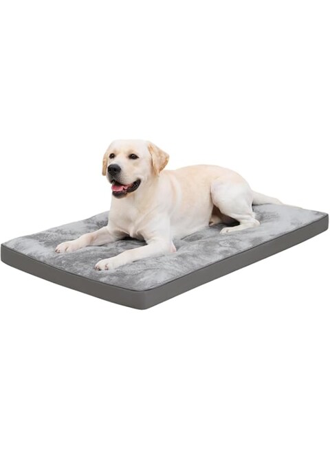 Pet Supplies Dog Bed Online For Labrador Buy LUCKY-D Dog Bed For