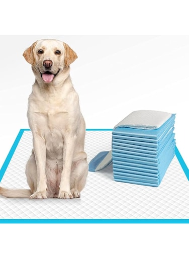 Goldedge Puppy Pads Large Size Pack of 40 (60x60 cm) Super Absorbent, Multi Layered Leakproof Odour Locking &amp; Attractant Disposable Puppy Training Pads.