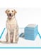 Goldedge Puppy Pads Large Size Pack of 40 (60x60 cm) Super Absorbent, Multi Layered Leakproof Odour Locking &amp; Attractant Disposable Puppy Training Pads.