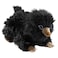 Generic The Noble Collection Baby Niffler Plusch Schwarz