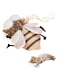 Azonee Hanging Cat Toy, Interactive Cat Exercise Toy with Lifelike Mosquito Chirp, Cat Toys with Catnip, Mosquito Cat Toys, Fluffy Kitten Toy for Bored Indoor Cats