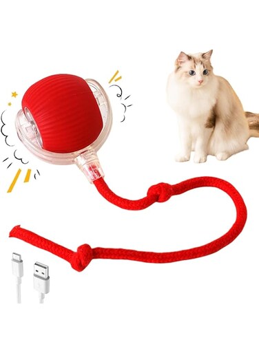 Pepisk Interactive Rolling Cat Ball, Interactive Cat Toy Rolling Ball, Automatic 360&deg;Rotating Rolling Ball, Smart Automatic Rolling Pet Ball for Dogs and Cats with Usb Charging (Red)