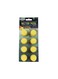 Exotic Nutrition Mango Nectar Pods - 8 Pack