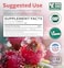 Healths Harmony Hawthorn Berry 4: 1 Extract Supplement for Healthy Blood Pressure, Heart Health And Immune System (120 Capsules)