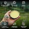 Striking Viking Beard Balm For Men - Leave In Beard Conditioner - Naturally Derived Butter, Argan &amp; Jojoba Beard Oils - (Citrus, Vanilla, Sandalwood, Cedarwood Scents, 1 Ounce (Pack Of 4))