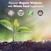Organic Earth Plant Based Extra Strength Turmeric, 4-In-1 Benefits: Joint Support, Brain Health, Vegan, Gluten Free, Clean Nutrition, 60 Capsules