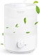 Humidifiers for Bedroom Home, 3L Top Fill Cool Mist Humidifiers for Baby Nursery &amp; Plants, 3-IN-1 Quiet Air Humidifier, Oil Diffuser &amp; Night Light for Large Room, Auto Shut-off, BPA-Free, 30H
