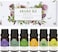 \Essential Oils Set, Starter Kit for Diffusers for Home Top6 Aromatherapy Gift - 6 Bottles*10mL(Lavender, Eucalyptus, Lemongrass, Tea Tree, Sweet Orange, Peppermint)
