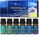 Essential Oil Blends, Essential Oils Set for Diffusers for Home, Well-Being Kit- Calming, Dreams, Breathe, Relaxing, Mood, Fresh Air Aromatherapy Oils for Humidifiers, Massage, 6x10ml
