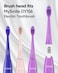 MySmile DY156 Electric Toothbrush Replacement Heads, Compatible for MySmile DY156 Sonic Toothbrush, 3 Packs (Purple)