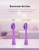 MySmile DY156 Electric Toothbrush Replacement Heads, Compatible for MySmile DY156 Sonic Toothbrush, 3 Packs (Purple)