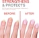 Probelle Tinted Nail Strengthener, Pastel Purple, 15ml, Strengthens And Hydrates Weak Nails, Infused With Pro-Vitamin B5 &amp; E, Glossy Tinted Finish