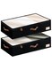 Pack Ultra-thick Large Under Bed Storage Containers with Handles and Label Holder, Closet Organizer for Clothes, Blankets, Sweater
