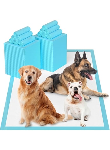 Rayyan Puppy Disposable Training Pads 60x60CM, 40 PCS Extra Large Puppy Pads Leak-Proof &amp; Super Absorbent, Thicken Nappies &amp; Potty Training Pads for Doggie Cats Rabbits, Quick Dry Dog Pee Pads