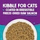 Stella &amp; Chewy's Raw Coated Premium Kibble Cat Food, Grain Free, Protein Rich Meals, Wild Caught Salmon Recipe, 5 lb. Bag