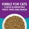 Stella &amp; Chewy's Raw Coated Premium Kibble Cat Food, Grain Free, Protein Rich Meals, Wild Caught Salmon Recipe, 10 lb. Bag