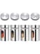 Alybrol Salt and Pepper Shakers Set 3.3oz Portable,Stainless Steel Spice Shakers Seasoning Container for Home 4 Pcs Set with Rotating Lids Spice Jars Shaker Seasoning Cans Set of 4 (4PCS)