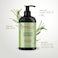 Mielle Organics Rosemary Mint Strengthening Shampoo With Biotin, 355ml