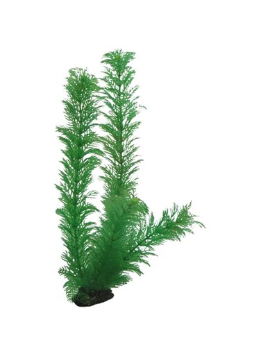 Hobby Egeria 34 cm