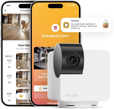 Petcube Cam PT