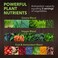 PlantFusion Organic Fruitiful Greens Fermented Superfood Powder Blend 240g