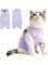 Rayyan Cat Recovery Suit for Abdominal Wounds or Skin Diseases, Breathable E-Collar Alternative for Cats and Dogs, After Surgery Wear Anti Licking Wounds, Neck with Elastic Band (Purple) (Medium)