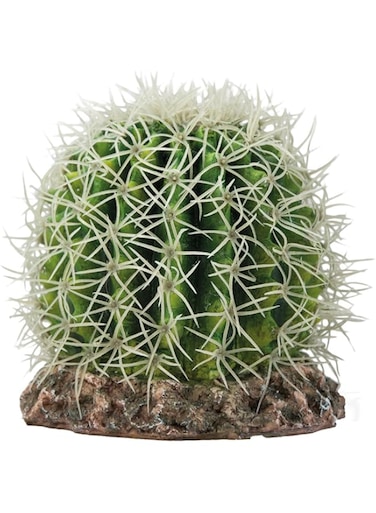 Hobby terrarium decoration, cactus sonora m