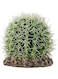 Hobby terrarium decoration, cactus sonora m