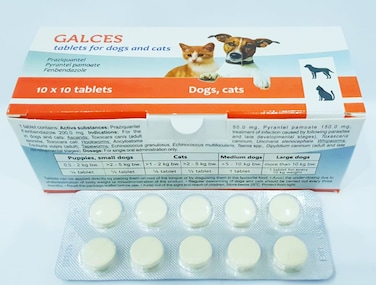 Galces Deworming Tablets for Dogs &amp; Cats - Broad Spectrum Protection Against Roundworms, Tapeworms &amp; Hookworms - 10 Tablets
