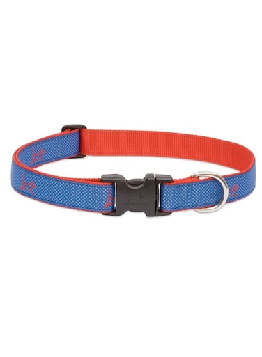 LupinePet 1/2&Prime; (Width) 8-12&Prime;(Neck) Adjustable Collar for Small Dogs &ndash; Newport Blue
