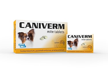 Caniverm Deworming Mite Tablets for Dogs &amp; Cats &ndash; Prevents and Controls Gastrointestinal Helminth Parasites (Roundworms, Tapeworms &amp; More)   5 Tablets (Brown)

