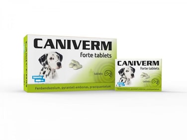 Caniverm Deworming Forte Tablets for Dogs and Cats &ndash; Broad-Spectrum Protection Against Internal Parasites (Roundworms, Tapeworms, Hookworms)   5 Tablets (Green)
