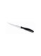 Tescoma 12 cm Steak Knife &ndash; Sharp &amp; Durable Dining Knife