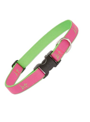LupinePet 1/2&Prime; (Width) 8-12&Prime;(Neck) Adjustable Collar for Small Dogs &ndash; Bermuda Pink