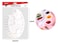 MOTARRO Painting Palette for Artists (MP145-9) &ndash; 17-Grid 200&times;300mm Plastic Mixing Tray with Thumb Hole for Watercolor, Acrylic &amp; Oil Paint