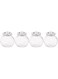 Ikea Aluminum Rajtan Spice Jars Set for Storage, Set of 4