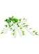 Hobby Terrarium Decoration, Climber Philo 70 Cm