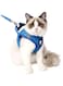 HEYWEAN Cat Harness and Leash - Ultra Light Escape Proof Kitten Collar Cat Walking Jacket with Running Cushioning Soft and Comfortable Suitable for Puppies Rabbits