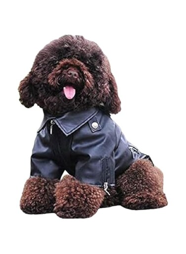 Cool Dog Leather Jacket, Warm Coats Dogs Windproof Cold Weather Coats for Large Medium Small Dogs (Black, XS)