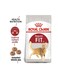 Royal Canin Fit 32 Adult Dry Cat Food 10Kg