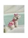 2Pcs Dog Bikini Sets Ruffle Trim Puppy Bikini and Hat Summer Beach Swimsuit Costume for Small Dogs Girl Cat Kitten (Pink, XL)