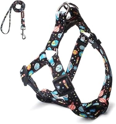 TOMVAES Dog Harness Collar Leash Set - No Pull Pet Adjustable Back Clip Halter Basic Collar Heavy Duty 5FT Anti-Twist Leash for Extra Small Puppy Medium Breed Training Easy Walk Running (S)