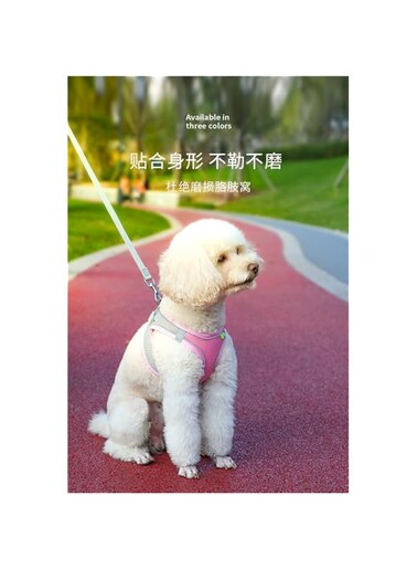 Cat Harness and Leash, Adjustable Escape Proof Vest Harness for Kitten with Reflective Strips Lightweight Step-in Jacket for Cats Puppy Small Pet Traveling Hiking (Pink, L)