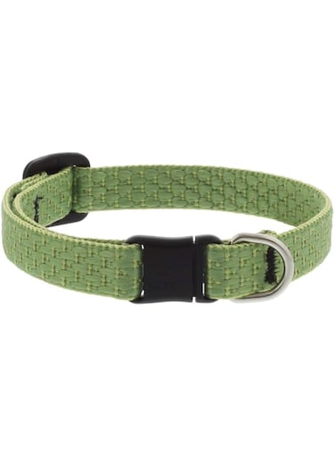 Lupine Pet Eco Cat Collar with Safety Buckle 8-12" &ndash; Moss